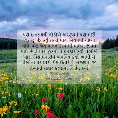 Picture 07 - હઝકિયેલ 20:13 GUJIRV - પણ ઇઝરાયલી લોકોએ - Bible Verse Picture
