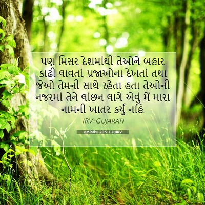 Picture 07 - હઝકિયેલ 20:9 GUJIRV - પણ મિસર દેશમાંથી - Bible Verse Picture