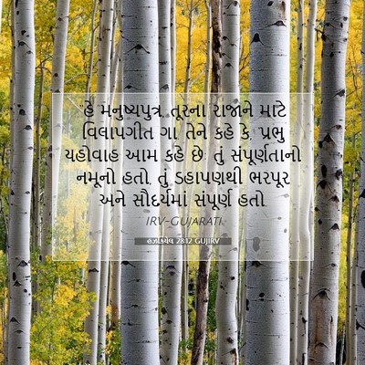 Picture 07 - હઝકિયેલ 28:12 GUJIRV - “હે મનુષ્યપુત્ર, - Bible Verse Picture