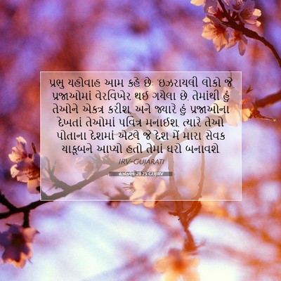 Picture 07 - હઝકિયેલ 28:25 GUJIRV - પ્રભુ યહોવાહ આમ - Bible Verse Picture