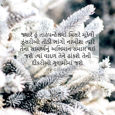 Picture 07 - હઝકિયેલ 30:18 GUJIRV - જ્યારે હું - Bible Verse Picture