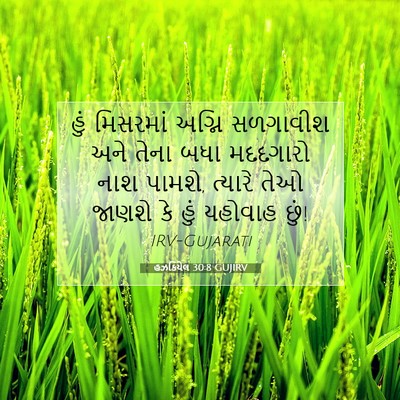 Picture 07 - હઝકિયેલ 30:8 GUJIRV - હું મિસરમાં અગ્નિ - Bible Verse Picture