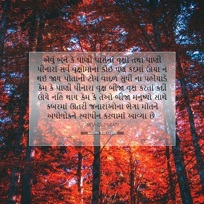 Picture 07 - હઝકિયેલ 31:14 GUJIRV - એવું બને કે પાણી - Bible Verse Picture