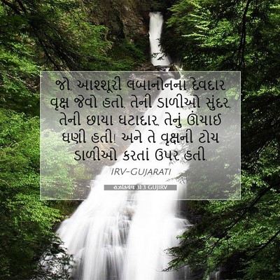 Picture 07 - હઝકિયેલ 31:3 GUJIRV - જો, આશ્શૂરી - Bible Verse Picture
