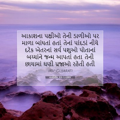 Picture 07 - હઝકિયેલ 31:6 GUJIRV - આકાશના પક્ષીઓ - Bible Verse Picture