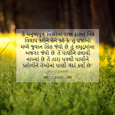 Picture 07 - હઝકિયેલ 32:2 GUJIRV - “હે મનુષ્યપુત્ર, - Bible Verse Picture