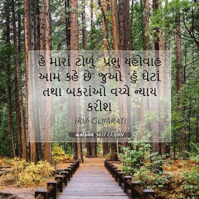 Picture 07 - હઝકિયેલ 34:17 GUJIRV - હે મારાં ટોળું,” - Bible Verse Picture