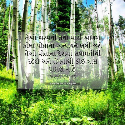 Picture 07 - હઝકિયેલ 39:26 GUJIRV - તેઓ શરમથી તથા મારી - Bible Verse Picture