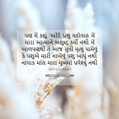 Picture 07 - હઝકિયેલ 4:14 GUJIRV - પણ મેં કહ્યું, - Bible Verse Picture