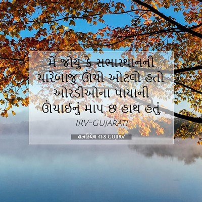 Picture 07 - હઝકિયેલ 41:8 GUJIRV - મેં જોયું કે - Bible Verse Picture