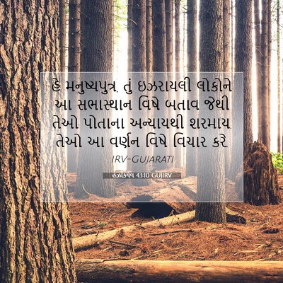 Picture 07 - હઝકિયેલ 43:10 GUJIRV - હે મનુષ્યપુત્ર, - Bible Verse Picture