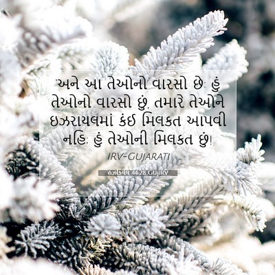 Picture 07 - હઝકિયેલ 44:28 GUJIRV - ‘અને આ તેઓનો વારસો - Bible Verse Picture