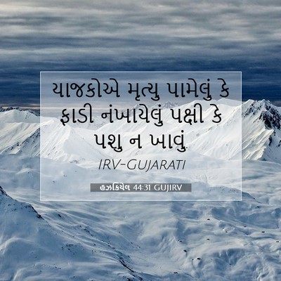 Picture 07 - હઝકિયેલ 44:31 GUJIRV - યાજકોએ મૃત્યુ - Bible Verse Picture