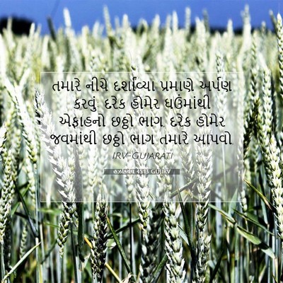 Picture 07 - હઝકિયેલ 45:13 GUJIRV - તમારે નીચે - Bible Verse Picture