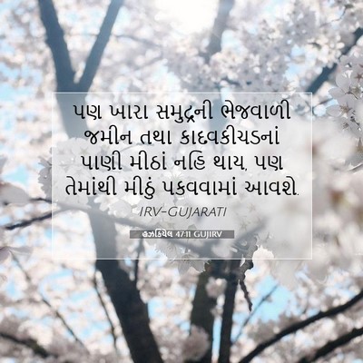 Picture 07 - હઝકિયેલ 47:11 GUJIRV - પણ ખારા સમુદ્રની - Bible Verse Picture