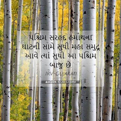 Picture 07 - હઝકિયેલ 47:20 GUJIRV - પશ્ચિમ સરહદ - Bible Verse Picture