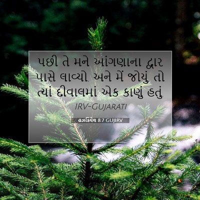 Picture 07 - હઝકિયેલ 8:7 GUJIRV - પછી તે મને આંગણાના - Bible Verse Picture