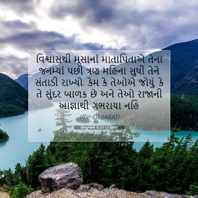 Picture 07 - હિબ્રૂઓને 11:23 GUJIRV - વિશ્વાસથી મૂસાનાં - Bible Verse Picture