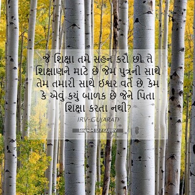 Picture 07 - હિબ્રૂઓને 12:7 GUJIRV - જે શિક્ષા તમે સહન - Bible Verse Picture