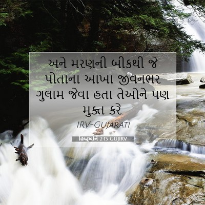 Picture 07 - હિબ્રૂઓને 2:15 GUJIRV - અને મરણની બીકથી જે - Bible Verse Picture