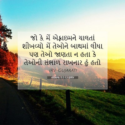 Picture 07 - હોશિયા 11:3 GUJIRV - જો કે, મેં - Bible Verse Picture