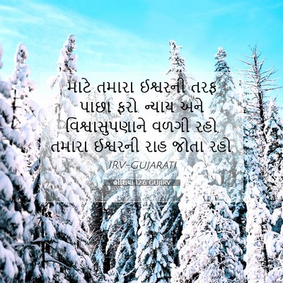 Picture 07 - હોશિયા 12:6 GUJIRV - માટે તમારા - Bible Verse Picture