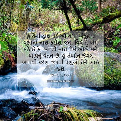Picture 07 - હોશિયા 2:12 GUJIRV - “હું તેની - Bible Verse Picture