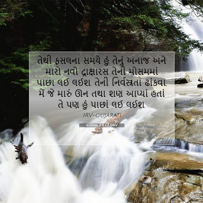 Picture 07 - હોશિયા 2:9 GUJIRV - તેથી ફસલના સમયે - Bible Verse Picture