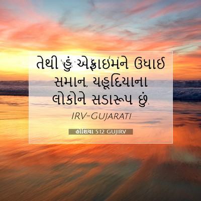 Picture 07 - હોશિયા 5:12 GUJIRV - તેથી હું - Bible Verse Picture