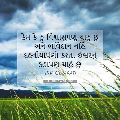 Picture 07 - હોશિયા 6:6 GUJIRV - કેમ કે હું - Bible Verse Picture