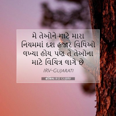 Picture 07 - હોશિયા 8:12 GUJIRV - મે તેઓને માટે મારા - Bible Verse Picture