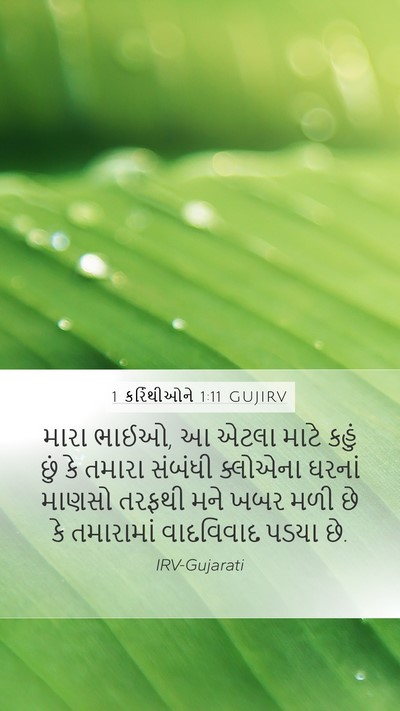 1 કરિંથીઓને 1:11 GUJIRV Bible Verse Image