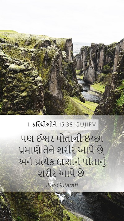 1 કરિંથીઓને 15:38 GUJIRV Bible Verse Image