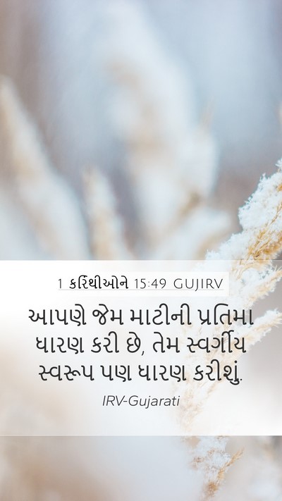 1 કરિંથીઓને 15:49 GUJIRV Bible Verse Image