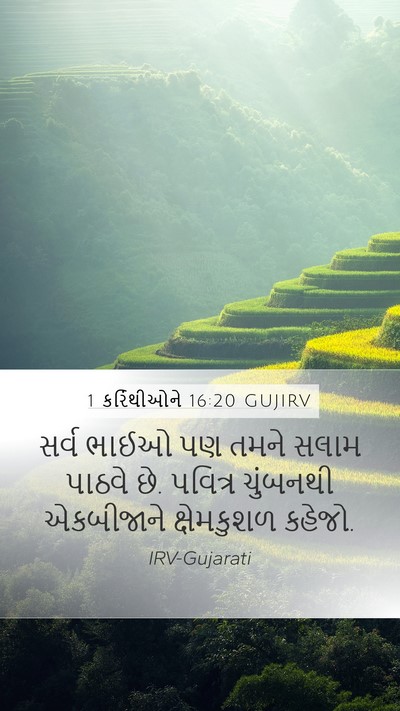 1 કરિંથીઓને 16:20 GUJIRV Bible Verse Image