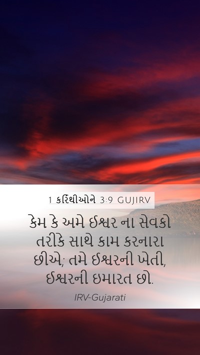 1 કરિંથીઓને 3:9 GUJIRV Bible Verse Image
