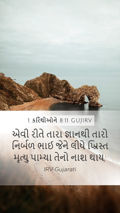 1 કરિંથીઓને 8:11 GUJIRV Bible Verse Image