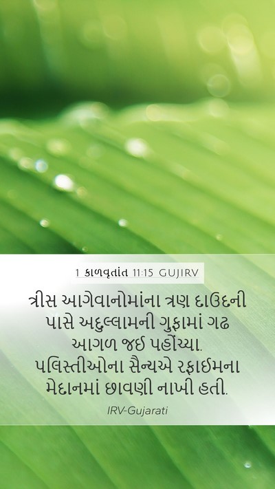 1 કાળવૃતાંત 11:15 GUJIRV Bible Verse Image