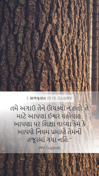 1 કાળવૃતાંત 15:13 GUJIRV Bible Verse Image