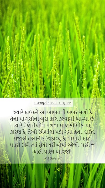 1 કાળવૃતાંત 19:5 GUJIRV Bible Verse Image