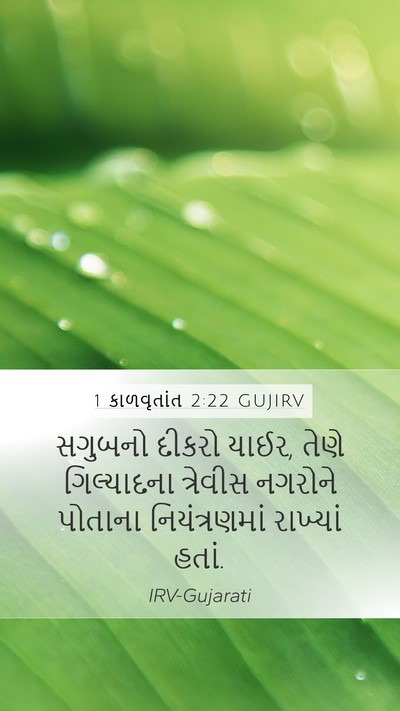 1 કાળવૃતાંત 2:22 GUJIRV Mobile Phone Wallpaper - સગુબનો દીકરો યાઈર, - Mobile Bible Verse Wallpaper