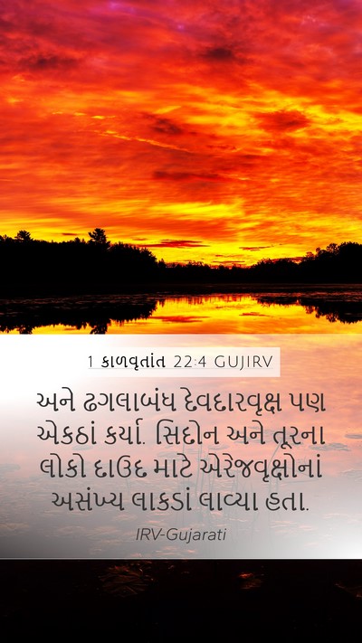 1 કાળવૃતાંત 22:4 GUJIRV Bible Verse Image