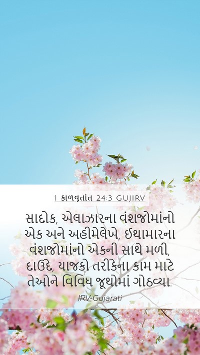 1 કાળવૃતાંત 24:3 GUJIRV Bible Verse Image