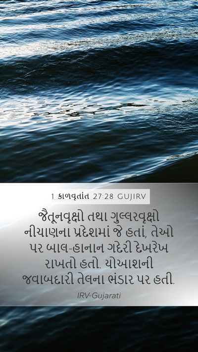 1 કાળવૃતાંત 27:28 GUJIRV Bible Verse Image