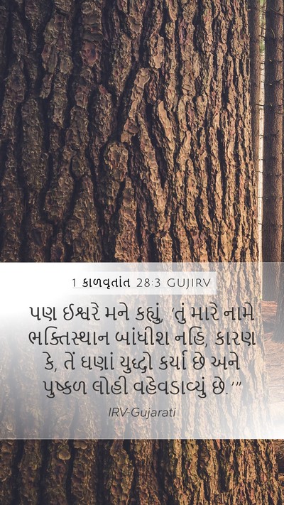 1 કાળવૃતાંત 28:3 GUJIRV Bible Verse Image