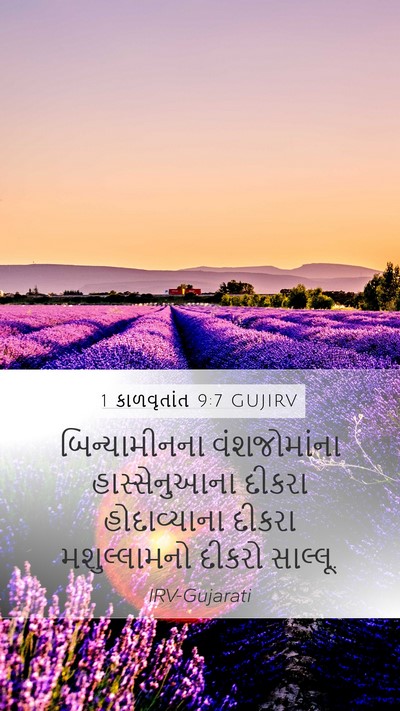 1 કાળવૃતાંત 9:7 GUJIRV Mobile Phone Wallpaper - બિન્યામીનના - Mobile Bible Verse Wallpaper