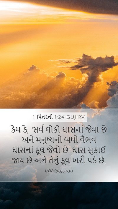 1 પિતરનો 1:24 GUJIRV Bible Verse Image