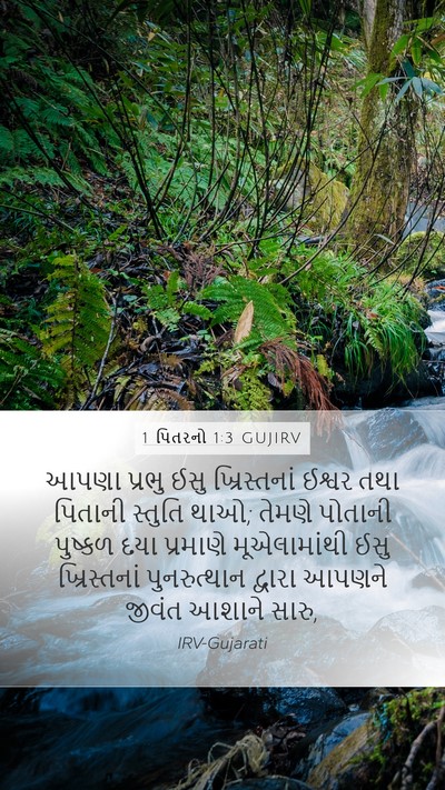 1 પિતરનો 1:3 GUJIRV Bible Verse Image