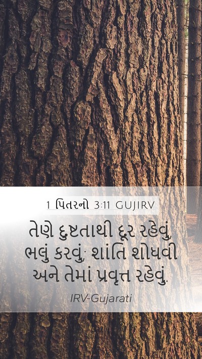 1 પિતરનો 3:11 GUJIRV Bible Verse Image