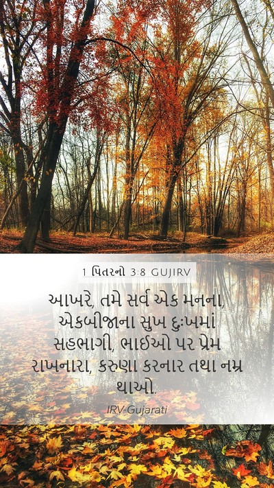 1 પિતરનો 3:8 GUJIRV Bible Verse Image